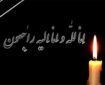 مادر شهیدان رضایی به فرزندان شهیدش پیوست
