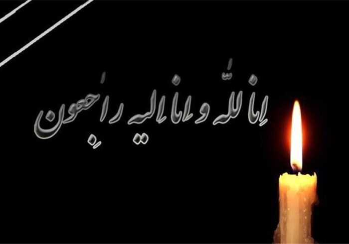 مادر شهیدان رضایی به فرزندان شهیدش پیوست