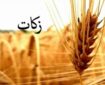 جمع‌آوری 3 میلیارد و 250 میلیون تومان زکات اسدآباد