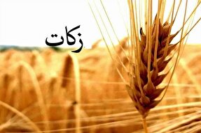 جمع‌آوری 3 میلیارد و 250 میلیون تومان زکات اسدآباد