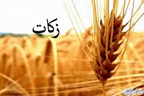 ریشه‌کن کردن فقر و ایجاد تعادل اجتماعی اهداف اصلی از وجوب زکات