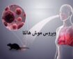 احتمال وجود هانتاویروس در ایران نزدیک به صفر است