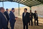 حمایت دادستان شیراز از توسعه اشتغال مولد زندانیان