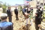 فیلم | غرس نهال امید در دانشگاه علم و هنر یزد