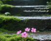 حدیث‌نگاشت | برترین راه
