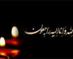 حمیدرضا احمدی‌وفا به سوگ برادر نشست