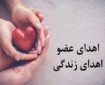 ثبت ۱۹ مورد اهدای عضو در قزوین طی سال گذشته
