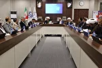 پیش نشست همایش بین‌المللی «مبانی اخلاقی، فقهی و حقوقی درمان ناباروری» برگزار شد