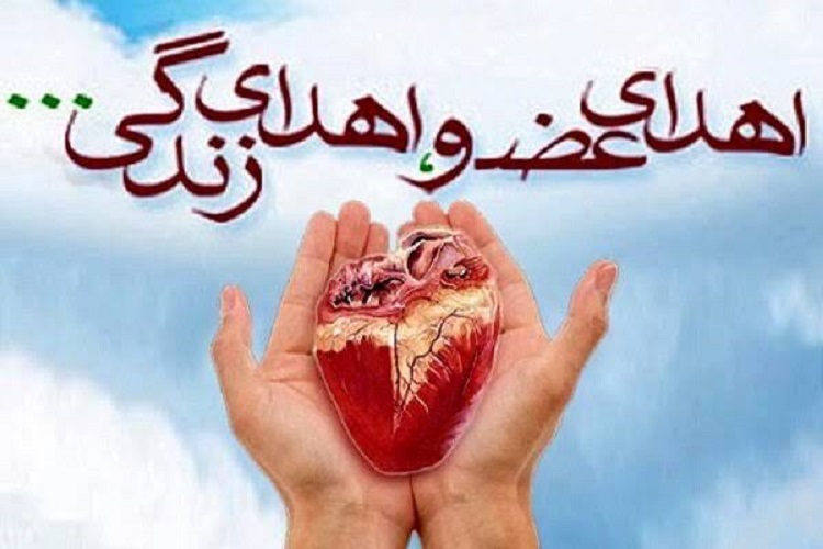 ثبت ششمین اهدای عضو در کهگیلویهوبویراحمد ثبت ششمین اهدای عضو در کهگیلویهوبویراحمد