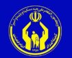خدمت‌رسانی مراکز نیکوکاری به بیش از ۳۷ هزار زائر مراسم تشییع پیکر رهبر شهید در مشهد