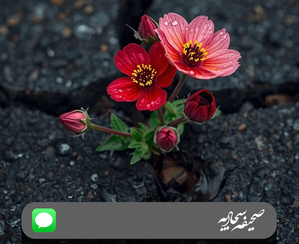 طرح | پرده‌پوشی خدا