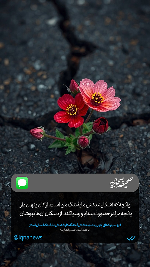 طرح | پرده‌پوشی خدا