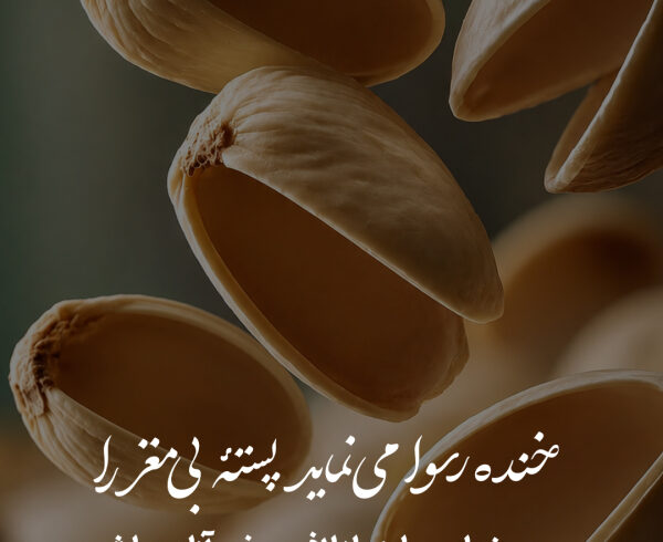 خنده رسوا می‌نماید پسته بی‌مغز را