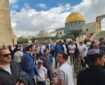 یورش دوباره صهیونیستها به مسجدالاقصی یورش دوباره صهیونیستها به مسجدالاقصی